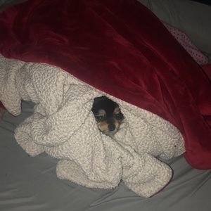 Meet your Posher, Borys